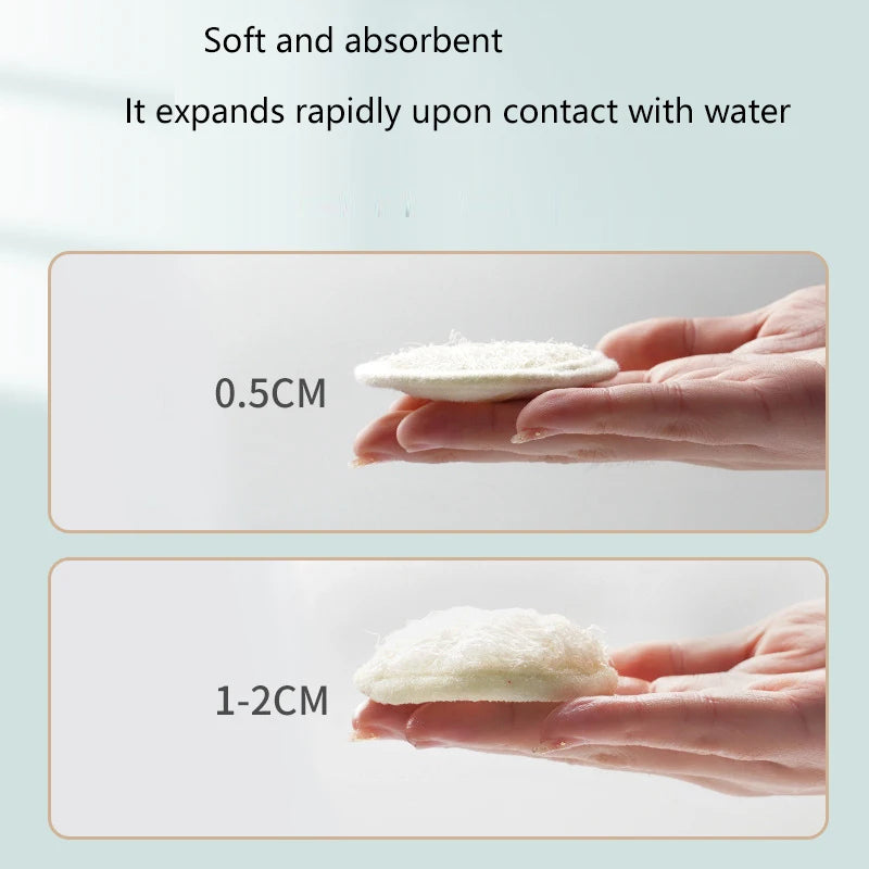 Natural Loofah Face Sponge